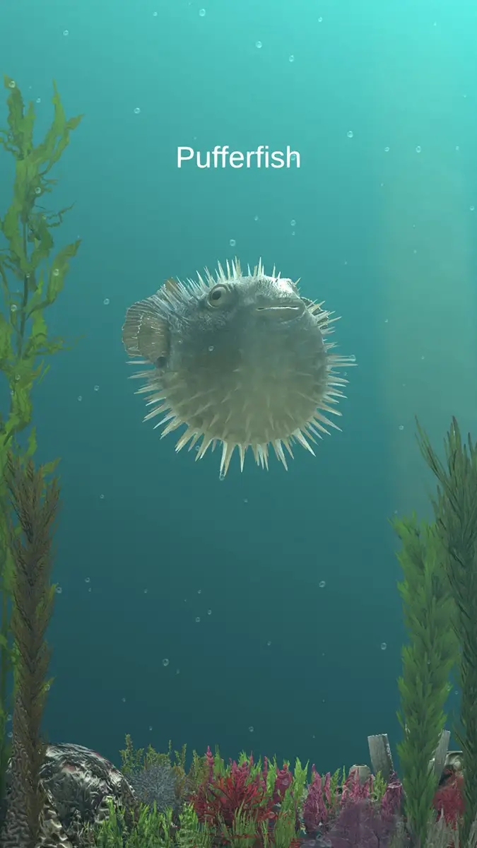 BayAquarium